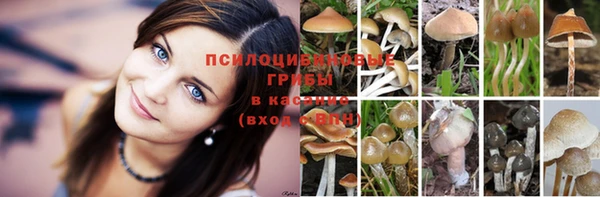 a pvp Корсаков