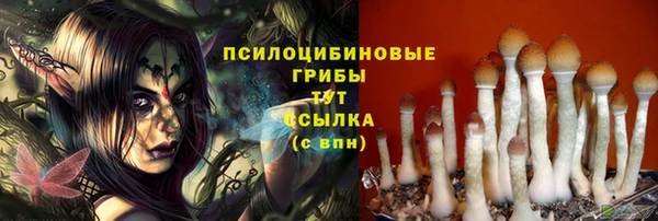 a pvp Корсаков