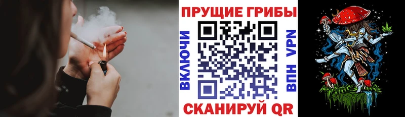 Галлюциногенные грибы Psilocybe  Купить  Кизляр 
